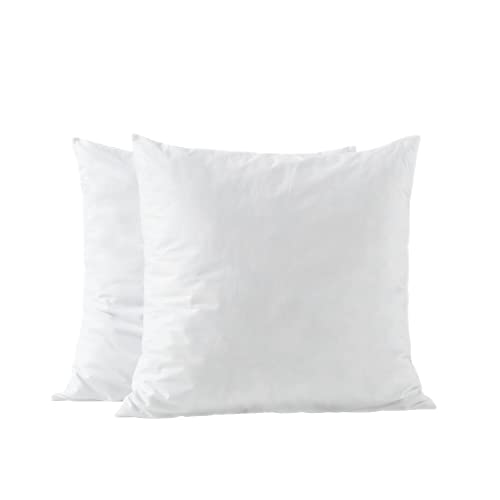 basic home 20x20 Pillow Inserts-Shredded Memory Foam Fill-High Density Throw Pillow Inserts with Long Support-Home Couch Hotel Collection-Cotton Fabric-2 Pack