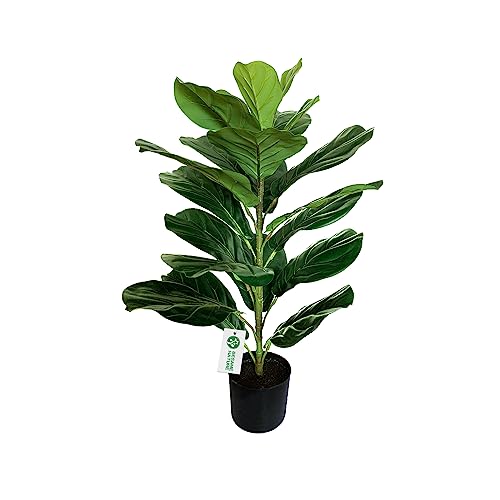 BESAMENATURE 30" Little Artificial Fiddle Leaf Fig Tree/Faux Ficus Lyrata for Home Office Decoration